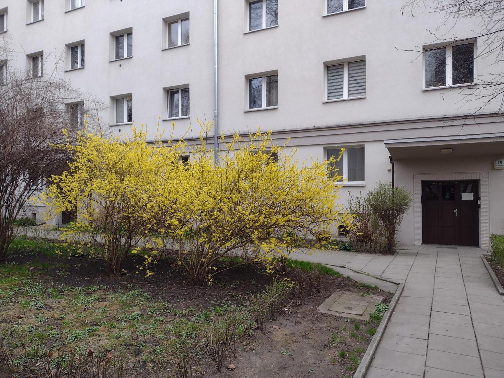 Cracowapart Ignacio A Krakow Exterior photo